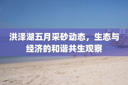 洪泽湖五月采砂动态，生态与经济的和谐共生观察