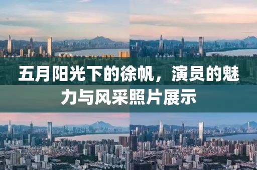 五月阳光下的徐帆，演员的魅力与风采照片展示