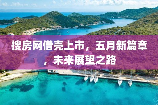 搜房网借壳上市，五月新篇章，未来展望之路