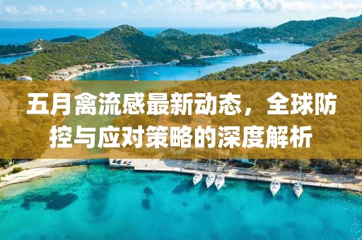 五月禽流感最新动态，全球防控与应对策略的深度解析