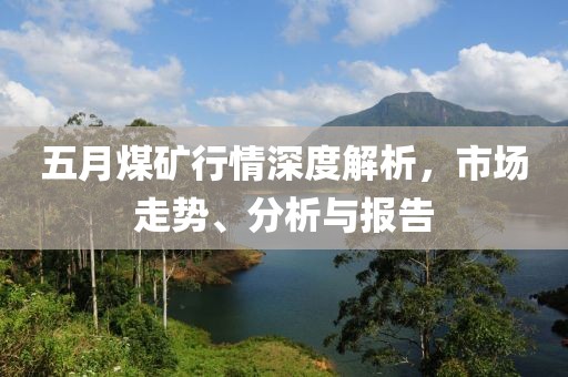 五月煤矿行情深度解析，市场走势、分析与报告