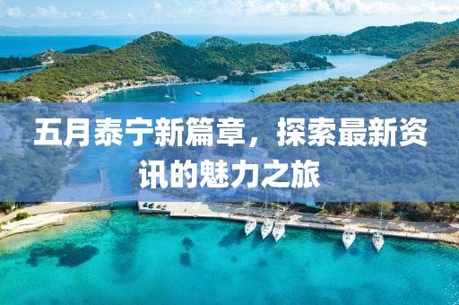 五月泰宁新篇章，探索最新资讯的魅力之旅