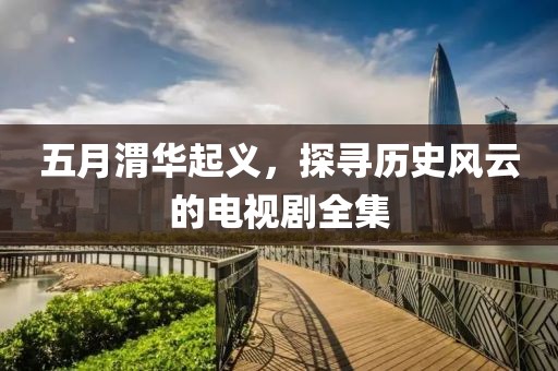 五月渭华起义，探寻历史风云的电视剧全集