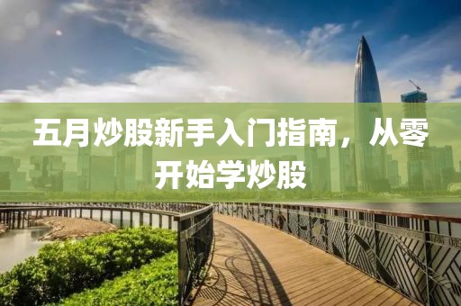 五月炒股新手入门指南，从零开始学炒股