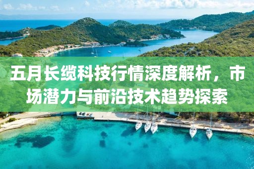五月长缆科技行情深度解析，市场潜力与前沿技术趋势探索