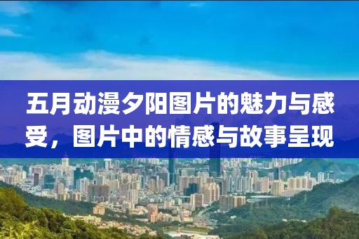 五月动漫夕阳图片的魅力与感受，图片中的情感与故事呈现
