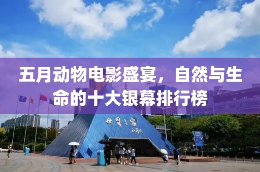 五月动物电影盛宴，自然与生命的十大银幕排行榜