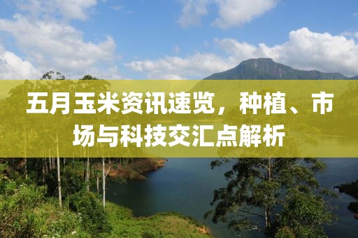 五月玉米资讯速览，种植、市场与科技交汇点解析