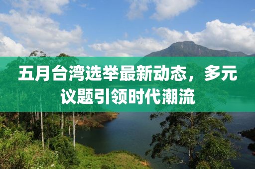 五月台湾选举最新动态，多元议题引领时代潮流