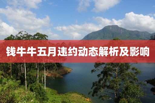 钱牛牛五月违约动态解析及影响