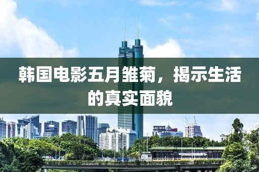 韩国电影五月雏菊，揭示生活的真实面貌