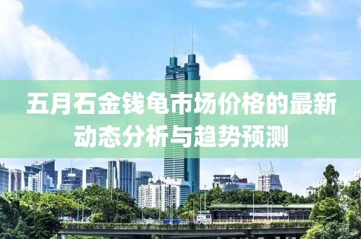 五月石金钱龟市场价格的最新动态分析与趋势预测