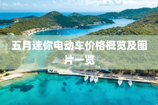 五月迷你电动车价格概览及图片一览