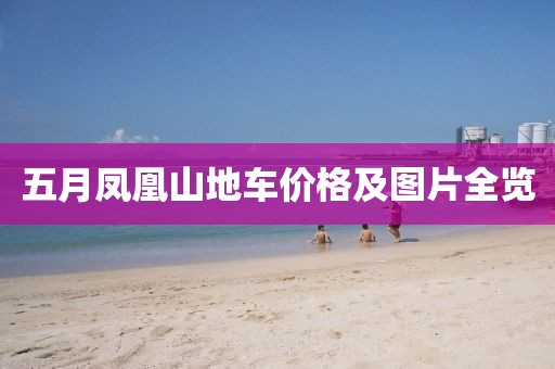 五月凤凰山地车价格及图片全览