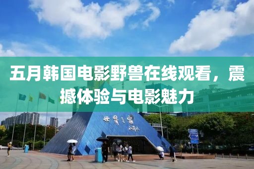 五月韩国电影野兽在线观看，震撼体验与电影魅力