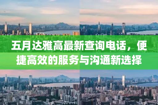 五月达雅高最新查询电话，便捷高效的服务与沟通新选择