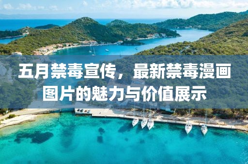 五月禁毒宣传，最新禁毒漫画图片的魅力与价值展示