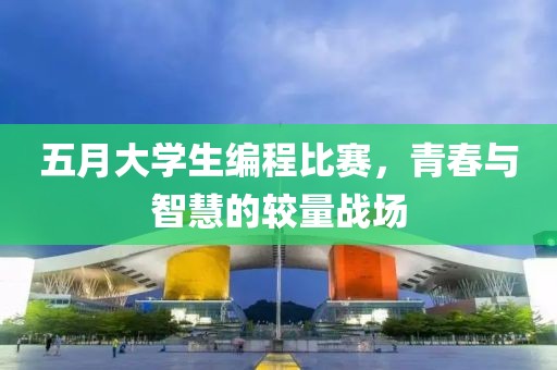 五月大学生编程比赛，青春与智慧的较量战场
