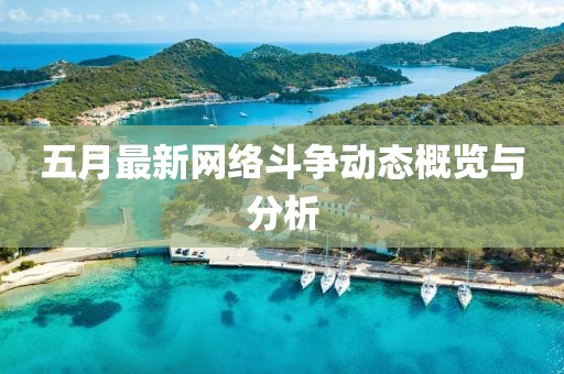 五月最新网络斗争动态概览与分析