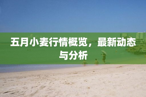 五月小麦行情概览，最新动态与分析