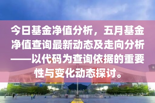 今日基金净值分析，五月基金净值查询最新动态及走向分析——以代码为查询依据的重要性与变化动态探讨。