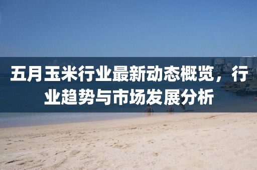 五月玉米行业最新动态概览，行业趋势与市场发展分析