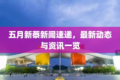 五月新蔡新闻速递，最新动态与资讯一览