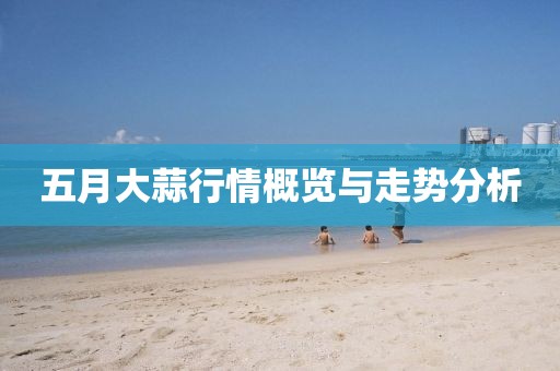 五月大蒜行情概览与走势分析
