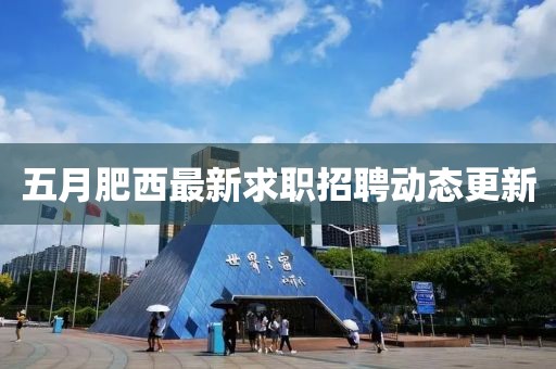 五月肥西最新求职招聘动态更新