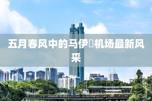 五月春风中的马伊琍机场最新风采