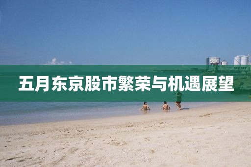 五月东京股市繁荣与机遇展望
