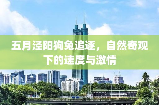五月泾阳狗兔追逐，自然奇观下的速度与激情
