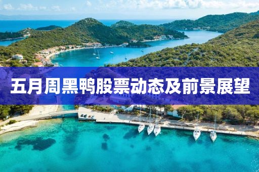 五月周黑鸭股票动态及前景展望