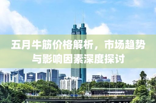 五月牛筋价格解析，市场趋势与影响因素深度探讨