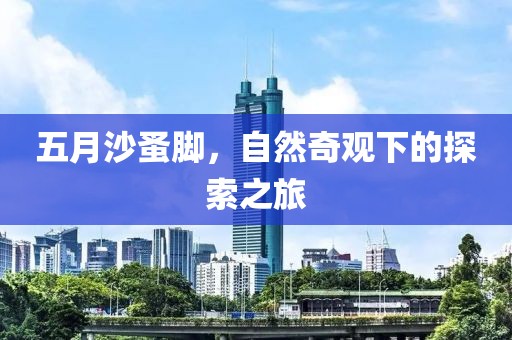 五月沙蚤脚，自然奇观下的探索之旅