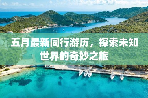 五月最新同行游历，探索未知世界的奇妙之旅