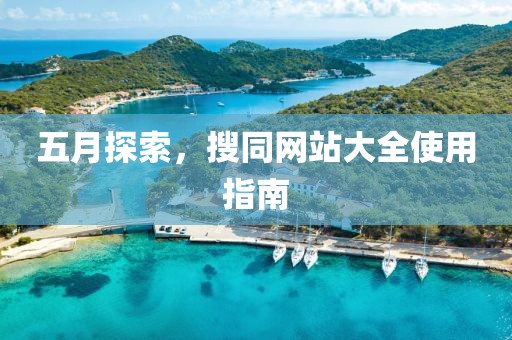 五月探索，搜同网站大全使用指南