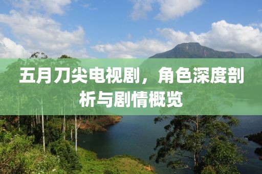五月刀尖电视剧，角色深度剖析与剧情概览