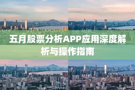 五月股票分析APP应用深度解析与操作指南