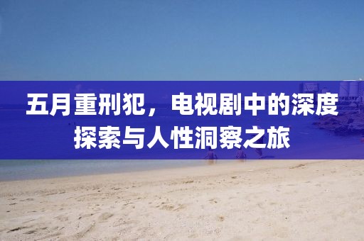 五月重刑犯，电视剧中的深度探索与人性洞察之旅