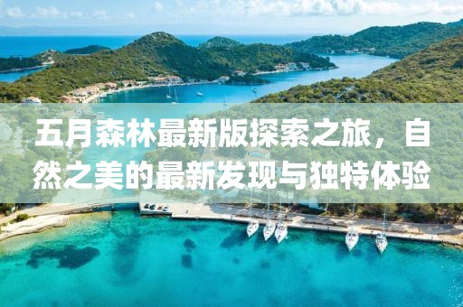 五月森林最新版探索之旅，自然之美的最新发现与独特体验