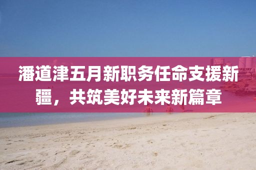 潘道津五月新职务任命支援新疆，共筑美好未来新篇章