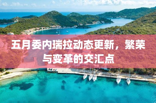 五月委内瑞拉动态更新，繁荣与变革的交汇点
