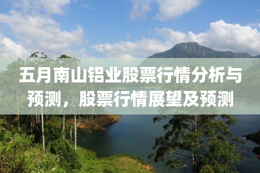 五月南山铝业股票行情分析与预测，股票行情展望及预测
