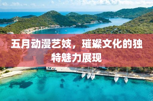 五月动漫艺妓，璀璨文化的独特魅力展现