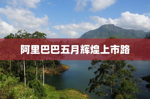 阿里巴巴五月辉煌上市路