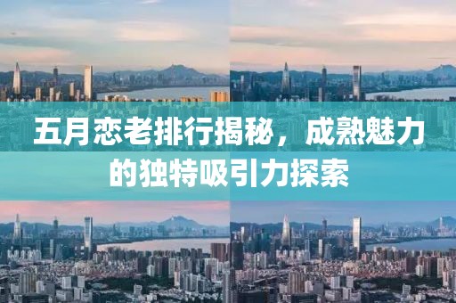 五月恋老排行揭秘，成熟魅力的独特吸引力探索