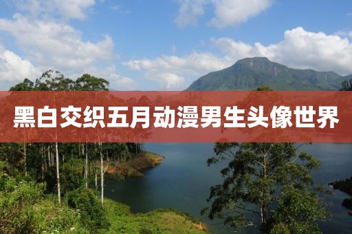 黑白交织五月动漫男生头像世界