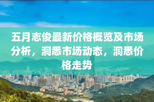 五月志俊最新价格概览及市场分析，洞悉市场动态，洞悉价格走势
