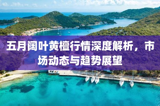 五月阔叶黄檀行情深度解析，市场动态与趋势展望